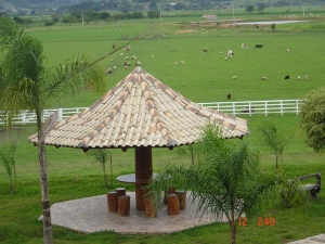 12239568 792608757551524 115125221672325362 n   